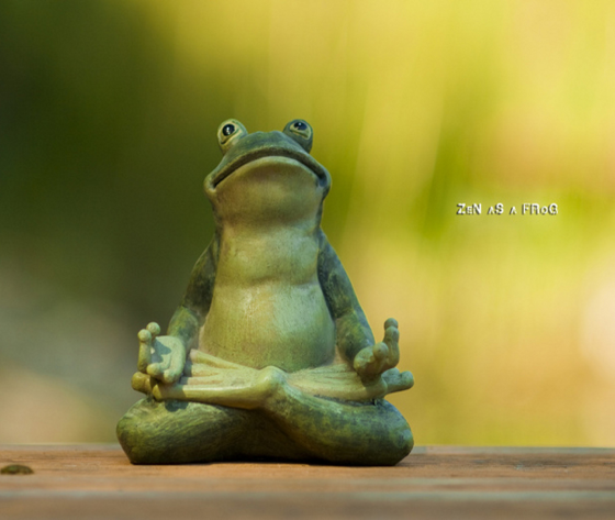 Meditating frog statue on wooden surface.