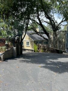 Driveway leading to yellow house under trees
