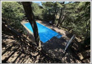 Blue swimming pool surrounded by trees