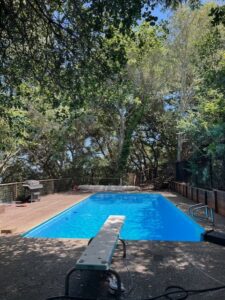 Backyard swimming pool with diving board and trees