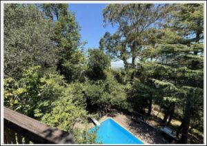 Backyard pool surrounded by trees and deck