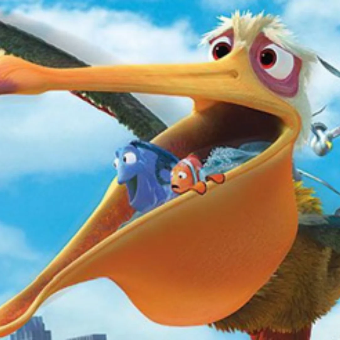 Pelican carrying two fish in its beak.